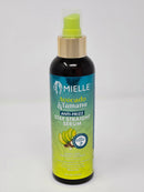 Mielle Avocado & Tamanu Anti-Frizz Stay Straight Serum - 6oz