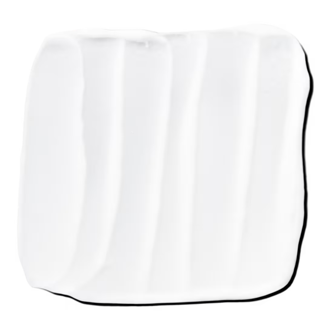 Paul Mitchell Tea Tree Special Conditioner
