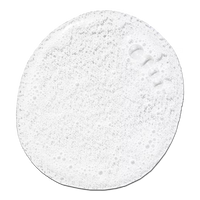 Paul Mitchell Tea Tree Lemon Sage Thickening Shampoo