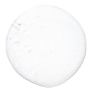 Paul Mitchell Tea Tree Lavender Mint Moisturizing Shampoo