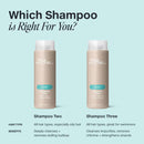 Paul Mitchell Classic Shampoo Two