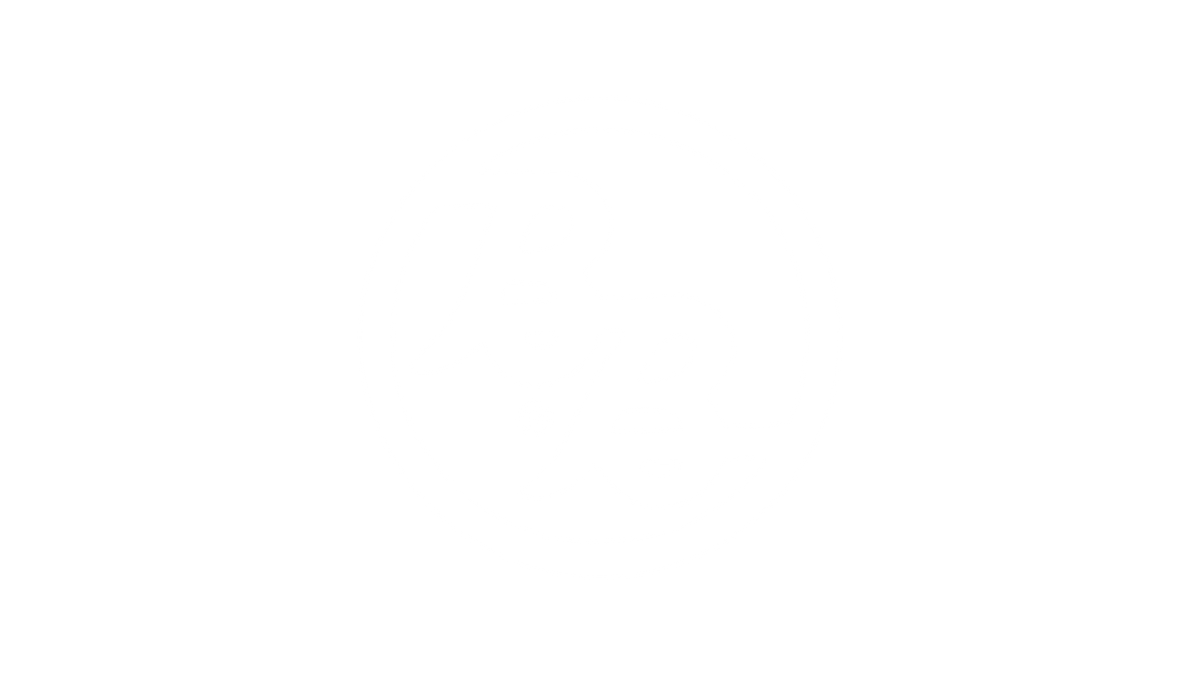 bronner_bros_wht.png