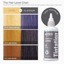 Tintation by Kiss - Semi-Permanent Hair Colors